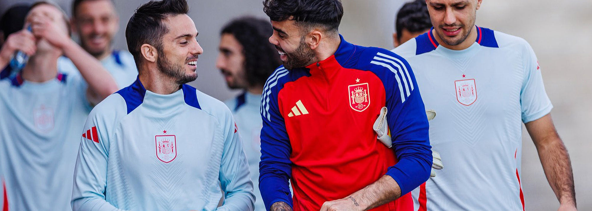 Entrenamiento