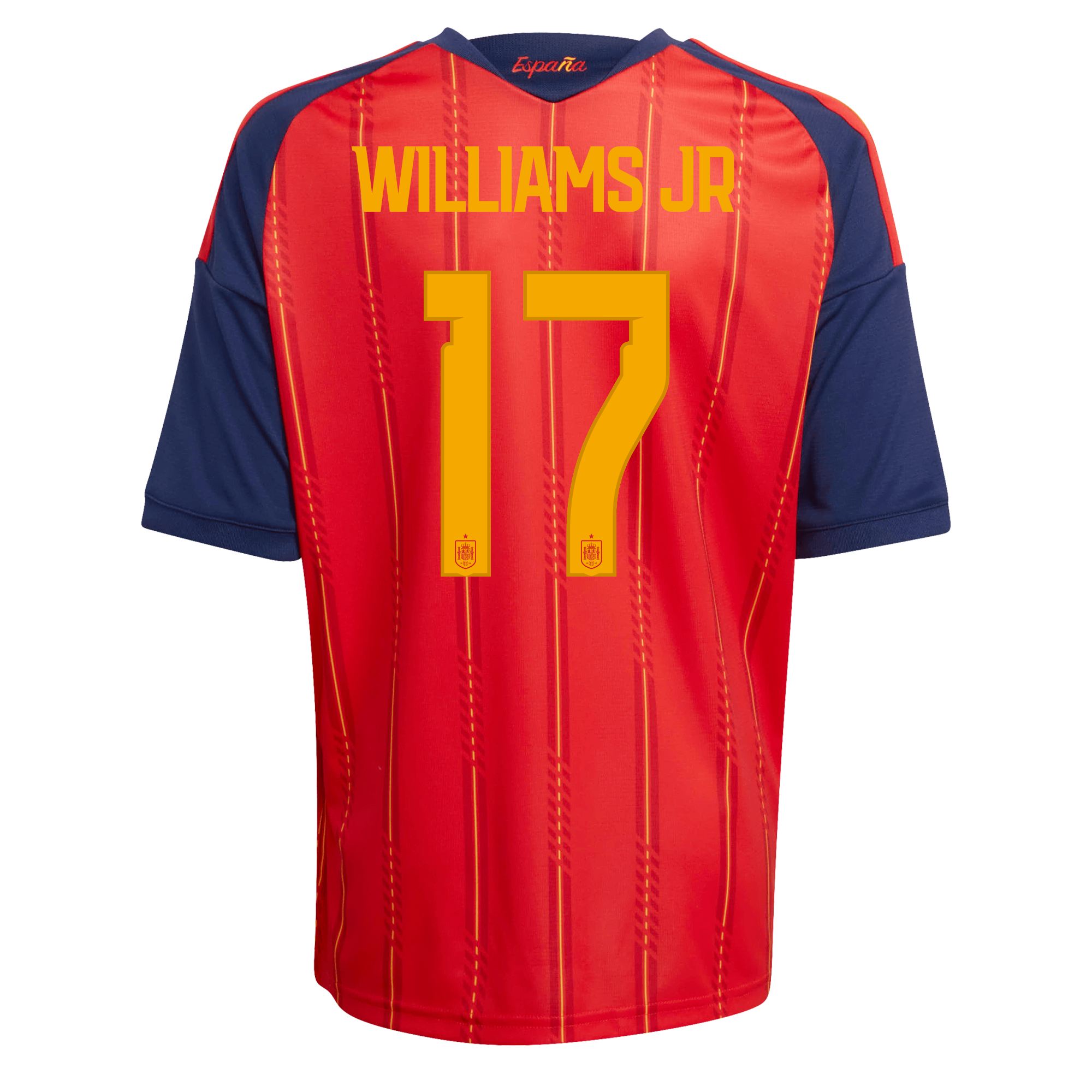 Boys' Home Kit - Williams JR