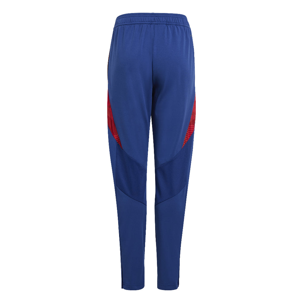 PANTALÓN DE ENTRENAMIENTO JUNIOR
