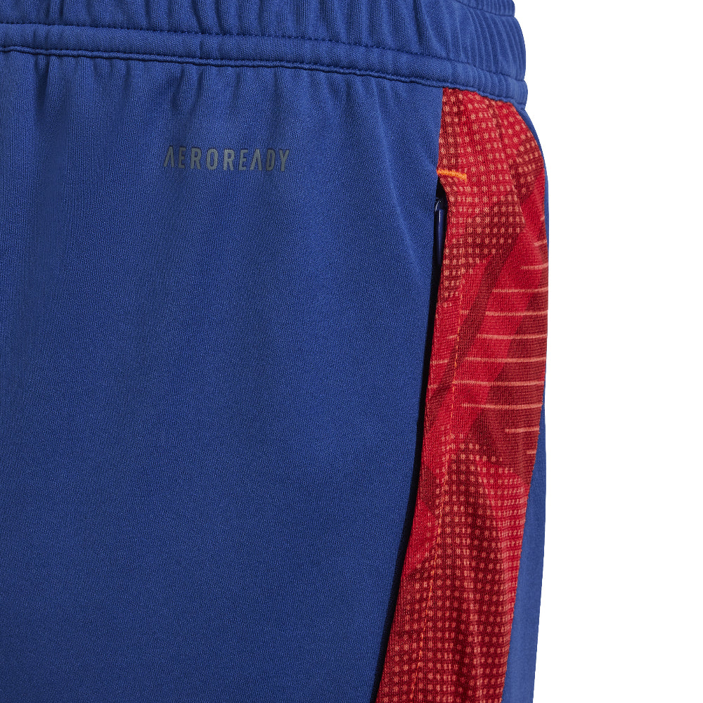 PANTALÓN DE ENTRENAMIENTO JUNIOR