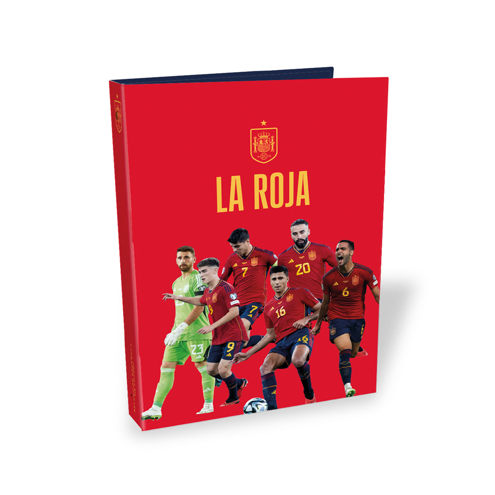 RING BINDER