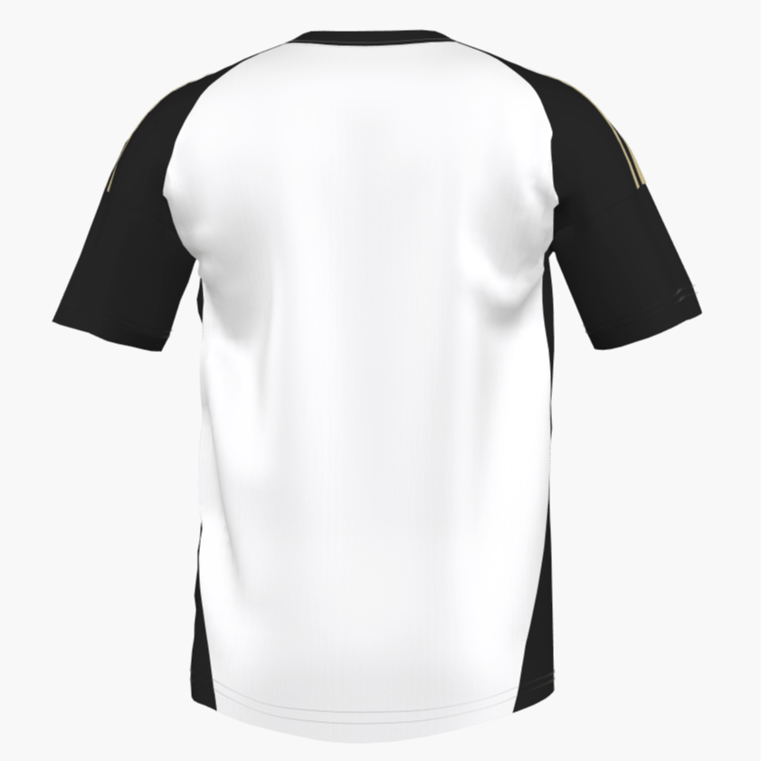 Camiseta Centenario