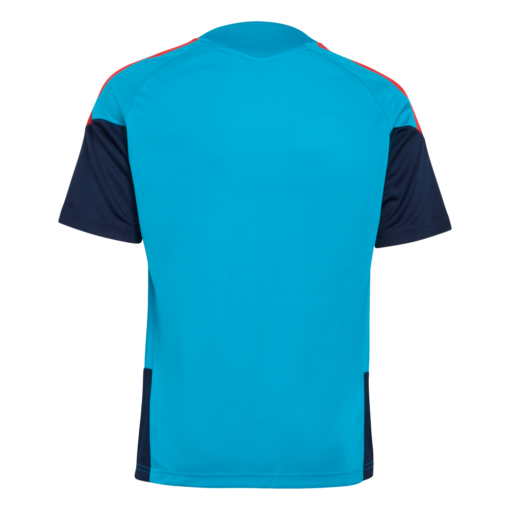 Camiseta Entrenamiento Niño