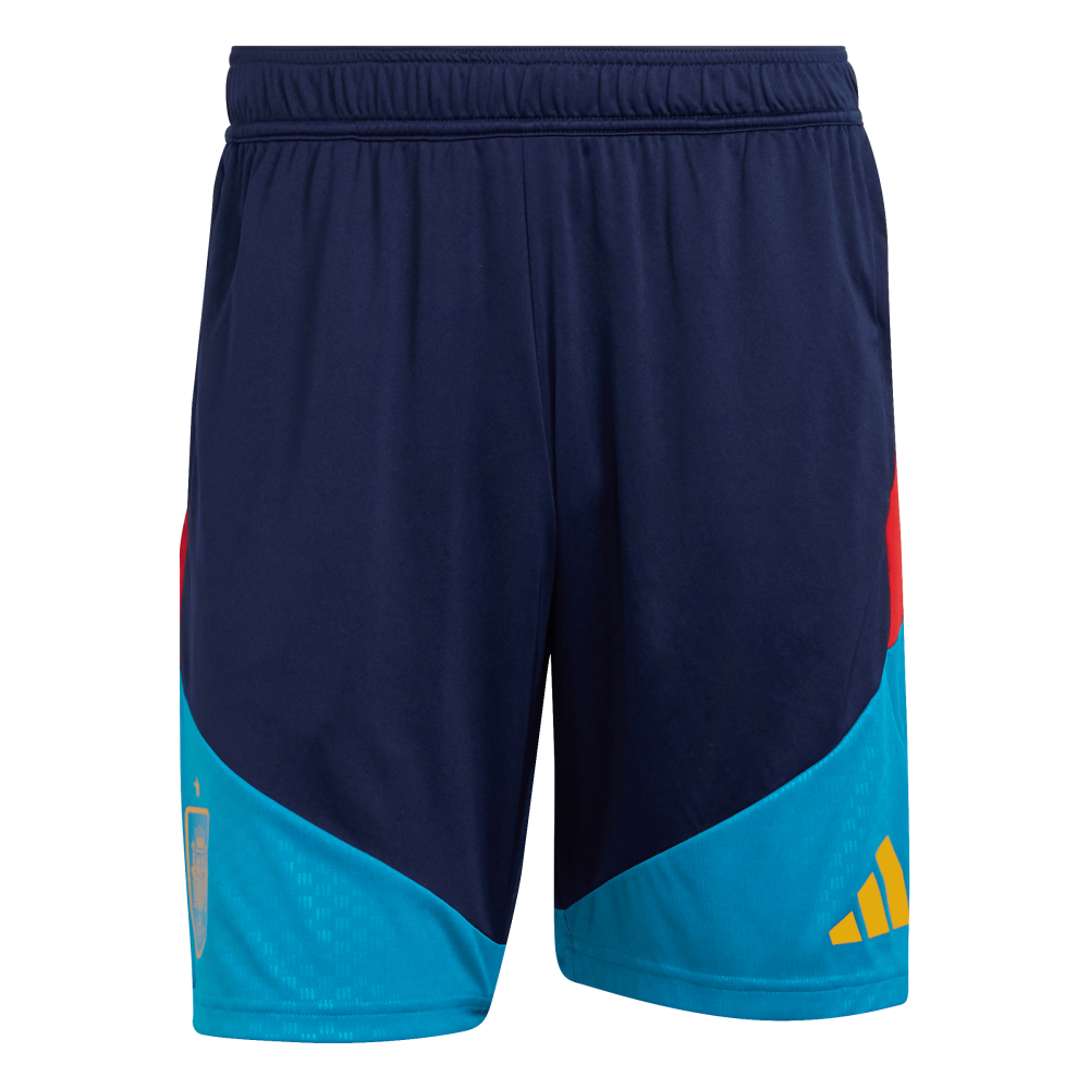 Men's Training Shorts